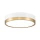 Option Matte White / Modern Gold