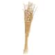 Option Cream/Chocolate - 8"W, 41"H