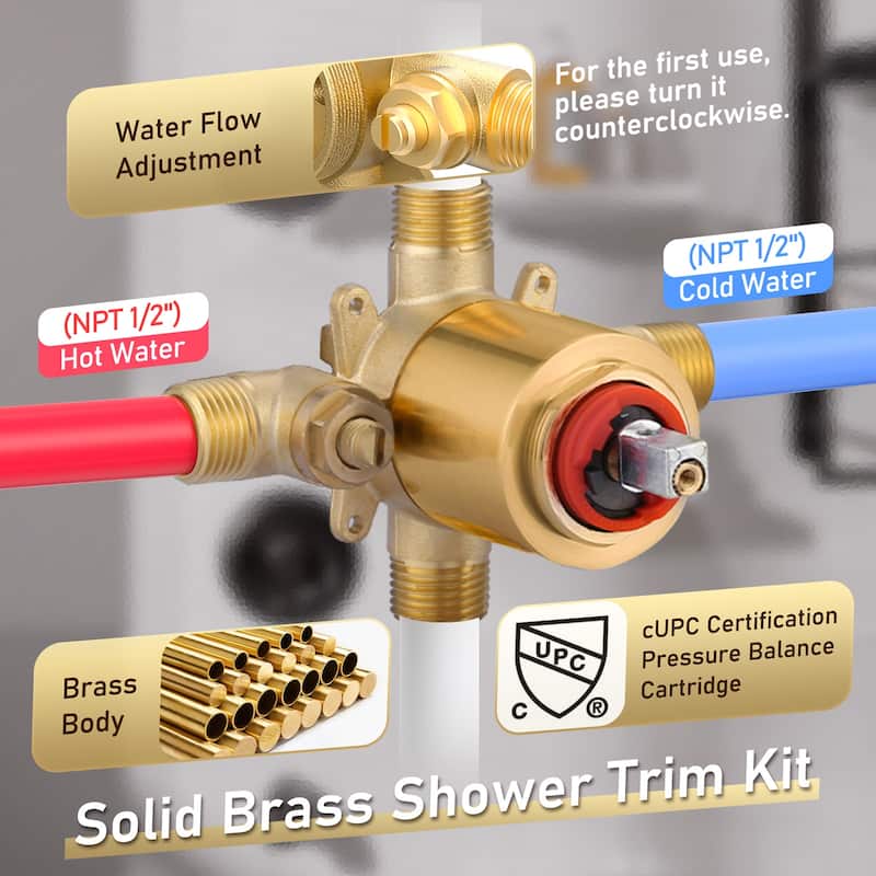 WOWOW Single Handle 5-Spray Shower Faucet with Valve
