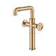 Option Brushed Gold