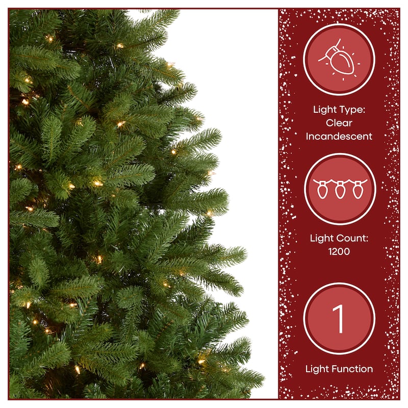 National Tree Company 12 ft. Downswept Douglas Fir Tree with Clear Lights - 12 Foot