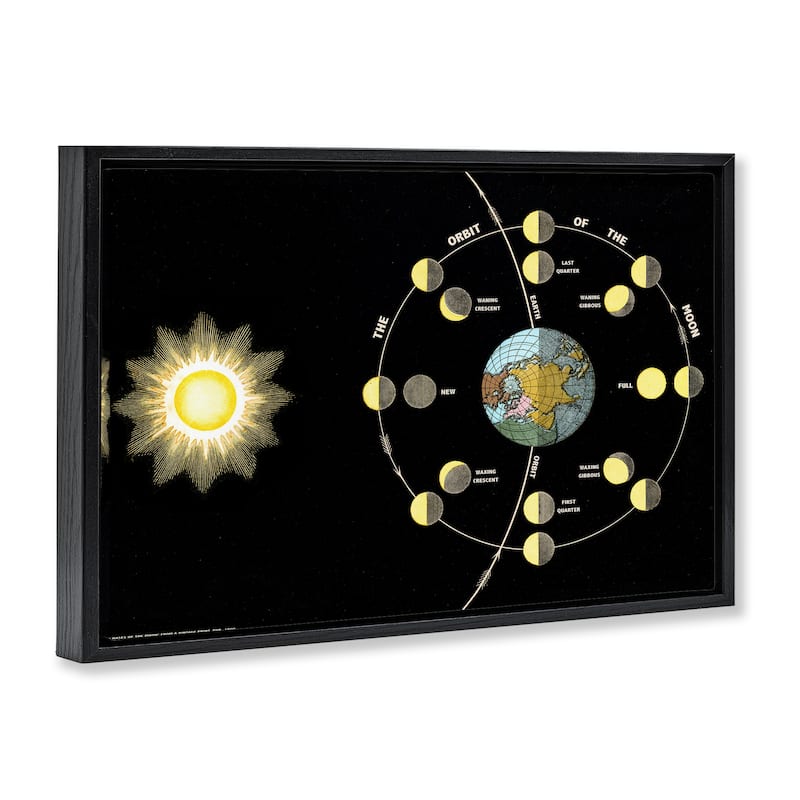 Stupell Moon's Orbit & Phases Framed Floater Canvas Wall Art Design By Phillipa Katz