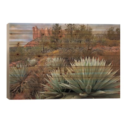 Agave And Coffee Pot Rock Near Sedona, Arizona Print On Wood by Tim Fitzharris - Multi-Color