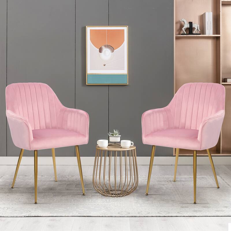 Velvet Accent Dining Chairs with Gold Metal Legs Set of 2