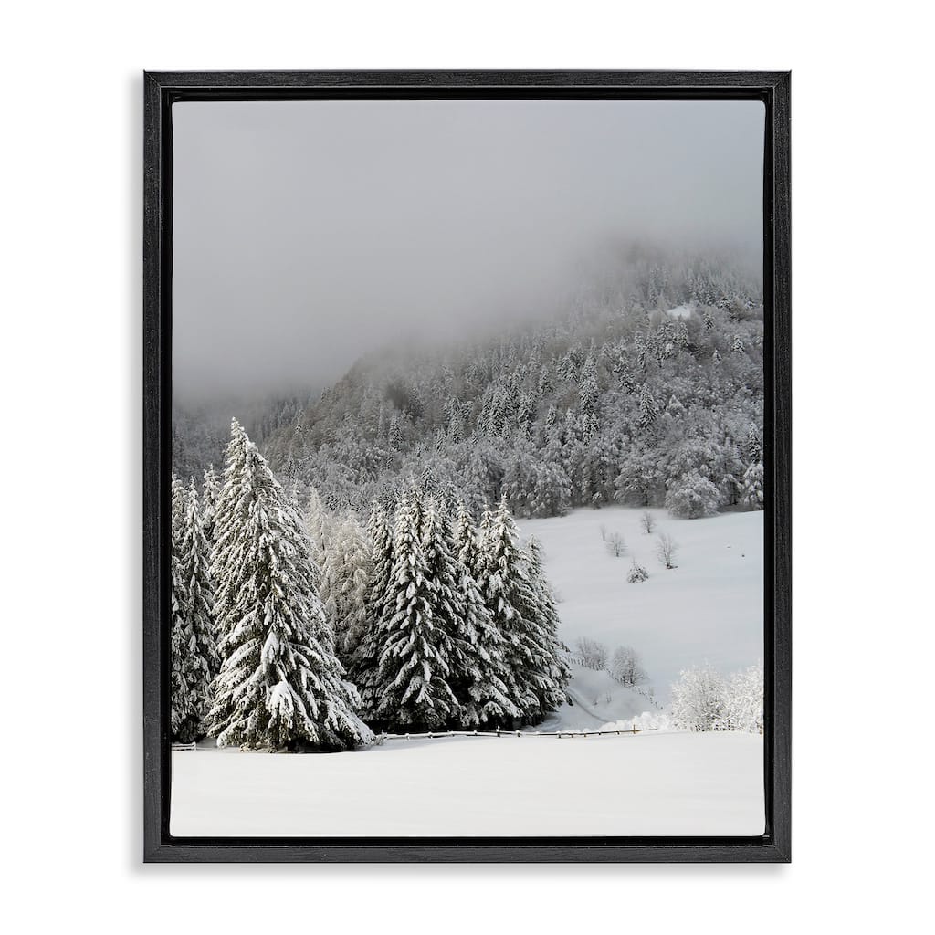 Stupell Winter Snowscape Woodland Trees Framed Floater Canvas Wall Art by Lil' Rue