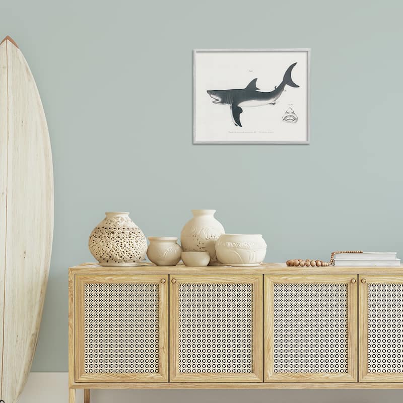 Stupell Detailed Shark Diagram Framed Giclee Art Design By Phillipa Katz