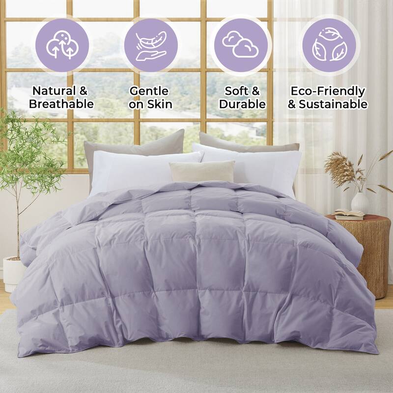 Medium Warmth 300TC Organic Cotton Down Comforter - 100% Natural, Chemical-Free, All Season Duvet Insert - Twin - Purple