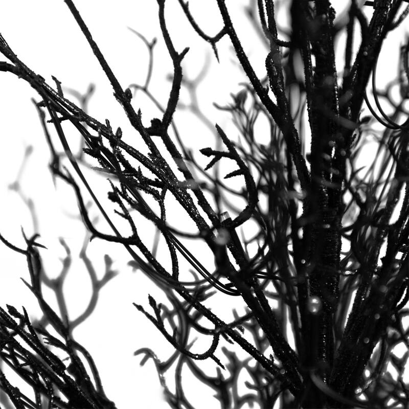 LED Lighted Black Artificial Twig Halloween Tree with Burlap Base - 3' - Warm White - 3-to-6-feet