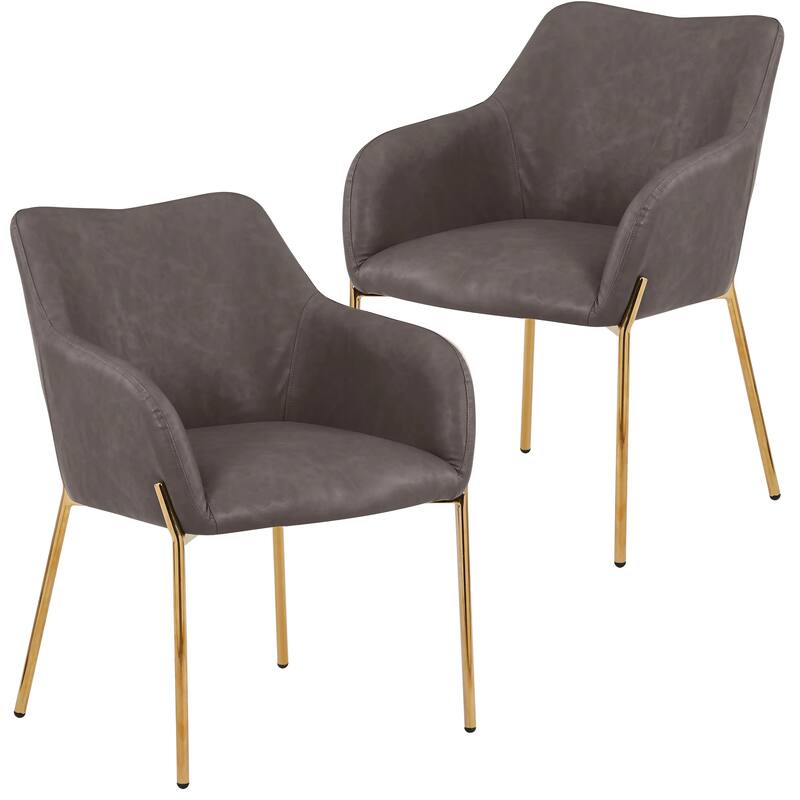 Zaire Upholstered Dining Chair in Velvet/Leather/Boucle with Gold Chrome Iron Set of 2 - Charcoal