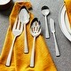 preview thumbnail 5 of 10, ZWILLING Bellasera 18/10 Stainless Steel Flatware Set