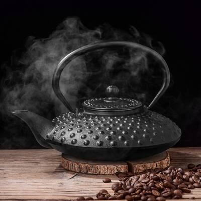 Velaze 27 Oz Japanese Matte Black Cast Iron Teapot