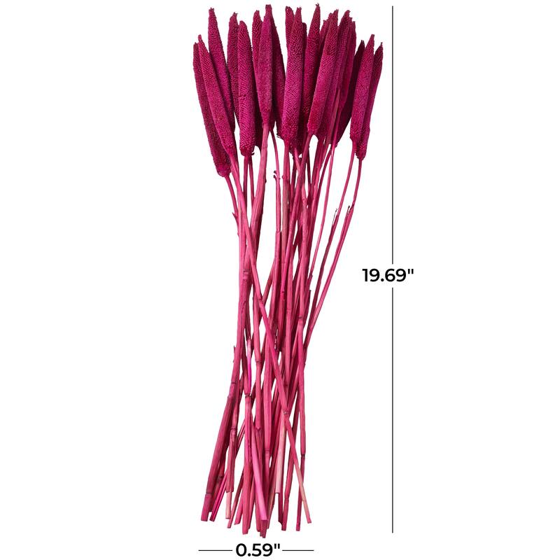 Dried Hogla Babala Bamboo Natural Foliage Collection - Multiple Colors