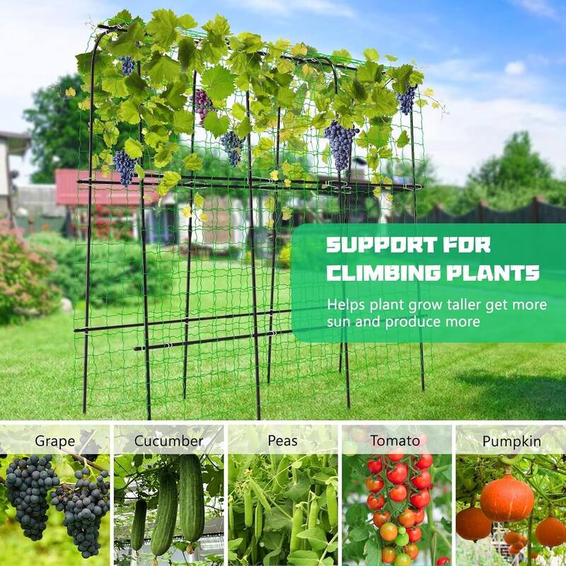 DoCred Garden Trellis for Climbing Plants, Outdoor Metal Trellis