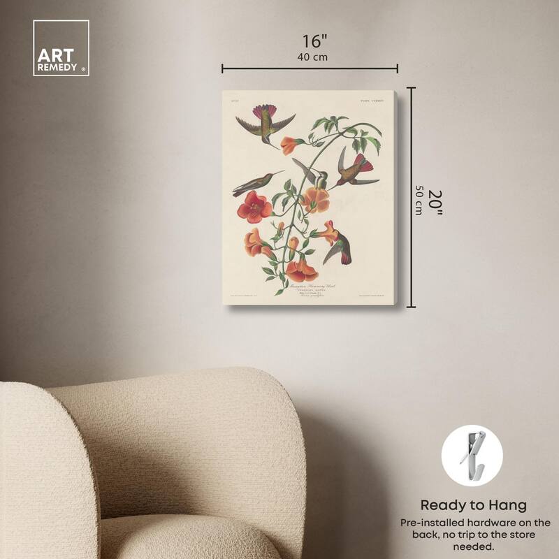 Humming Bird 1834 Canvas by Art Remedy, Gallery Wrapped