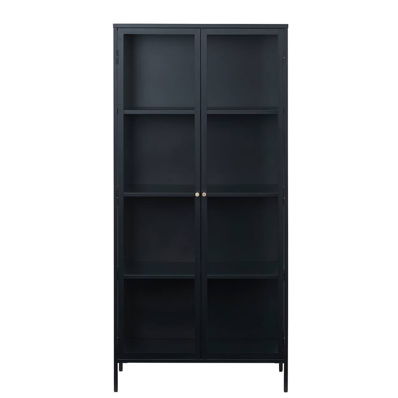 Rye Studio Cairyn Modern Glass and Metal Cabinet