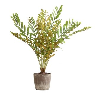 Uttermost Zamia Palm Accent In Planter