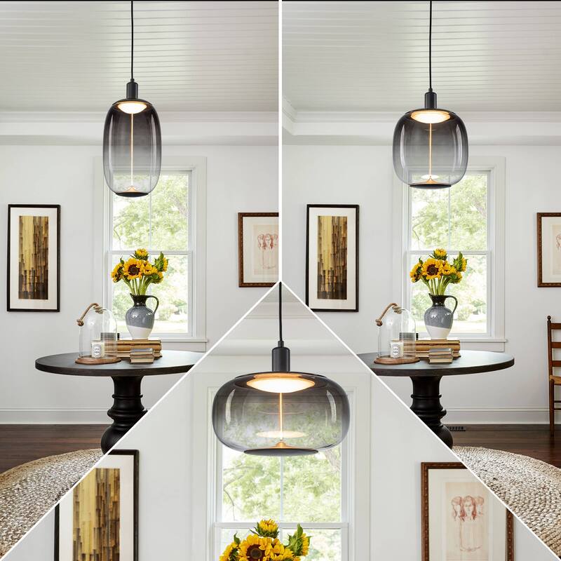 Smoke Gradient Clear Plastic LED Globe Pendant Light