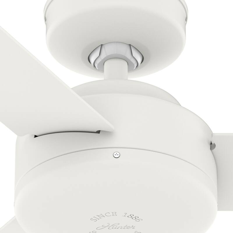 Hunter 52" and 44" Presto Ceiling Fan w/ Wall Control - Contemporary, Industrial, Scandinavian
