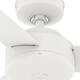 Hunter 52" and 44" Presto Ceiling Fan with Wall Control