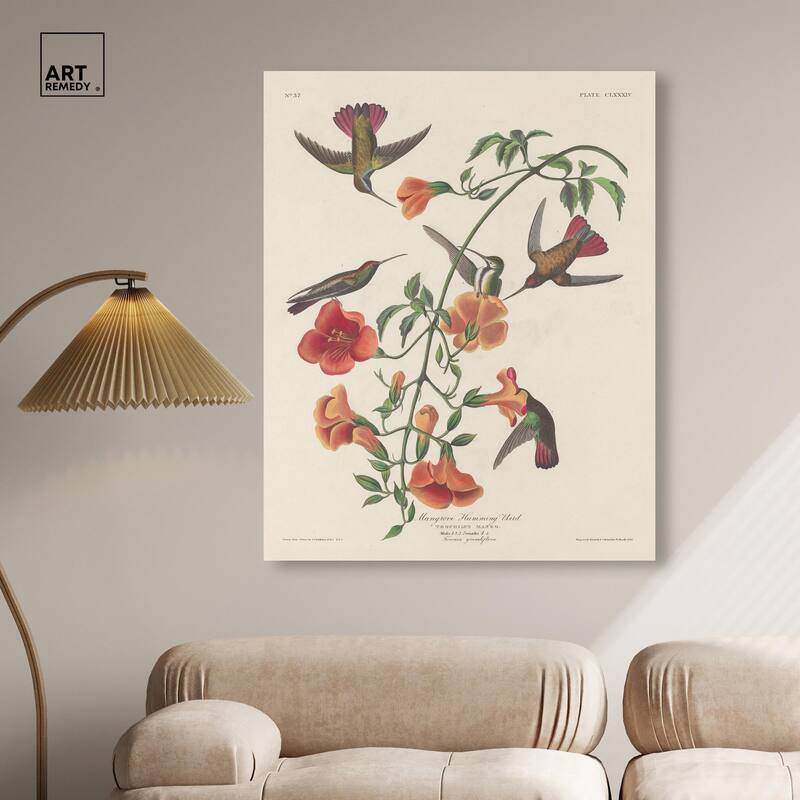 Humming Bird 1834 Canvas by Art Remedy, Gallery Wrapped