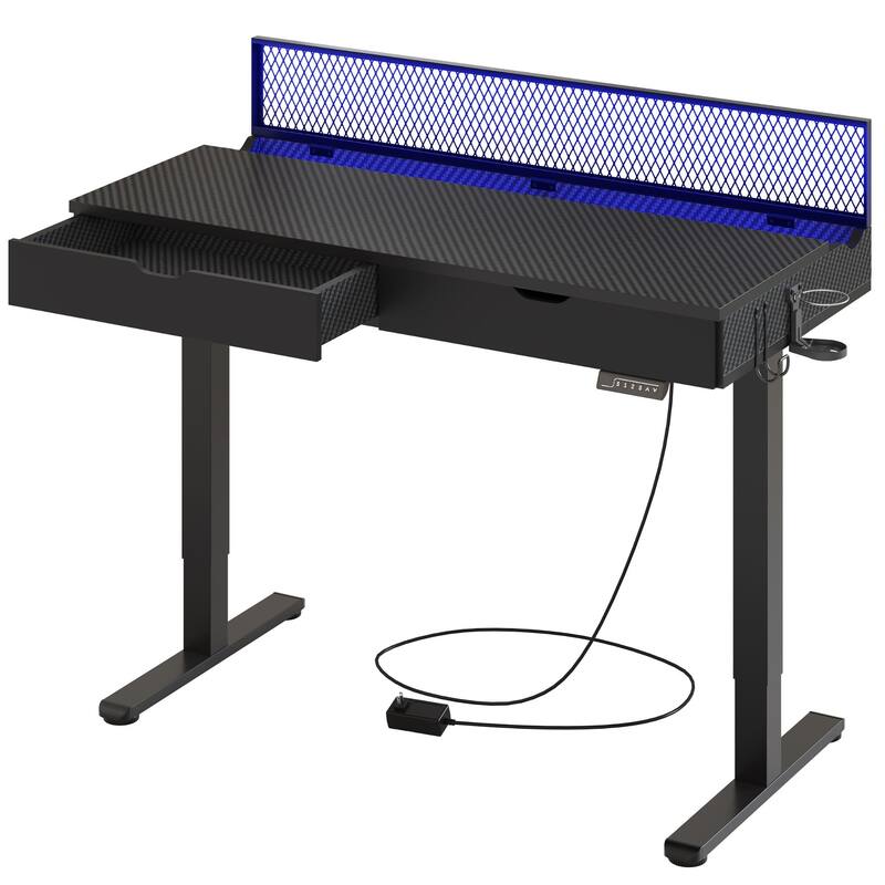 Standing Desk Electric Height Adjustable Gaming Desk with Drawer USB Port and LED Light Computer Desk