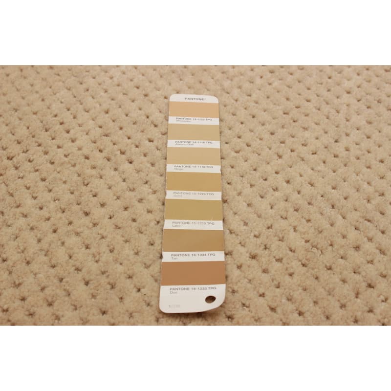 Kashkuli Gabbeh Beige Rug 5'4" x 5'4" - 5'4 x 5'4