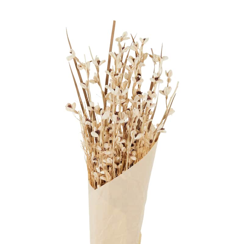 Dried Plant Tall Floral Bouquet Natural Foliage with Brown Stems - Cream - Roche River Decor