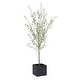 preview thumbnail 1 of 0, Uttermost Abundance Potted Olive Tree