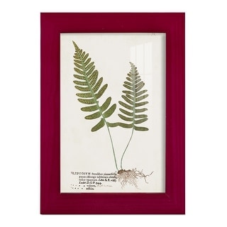 Nature Printed Ferns IX -Framed Print w/glass-Cherry Red