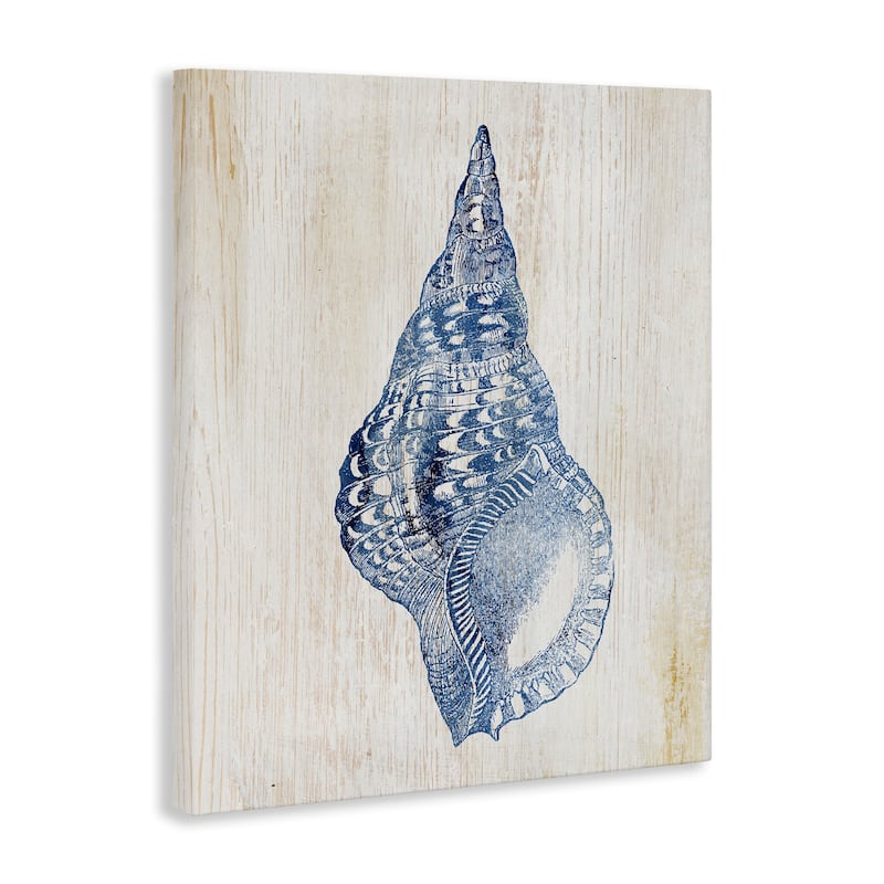 Stupell Tranquil Blue Shell Canvas Wall Art Design By Susan Arnot