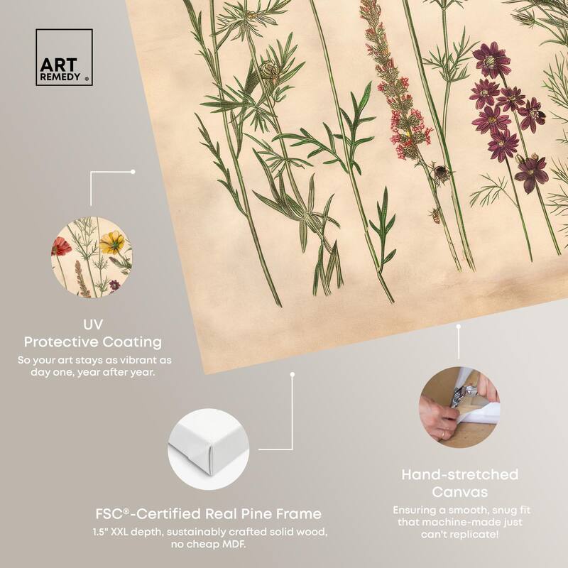 Pollinator Portrait II Canvas by Art Remedy, Gallery Wrapped