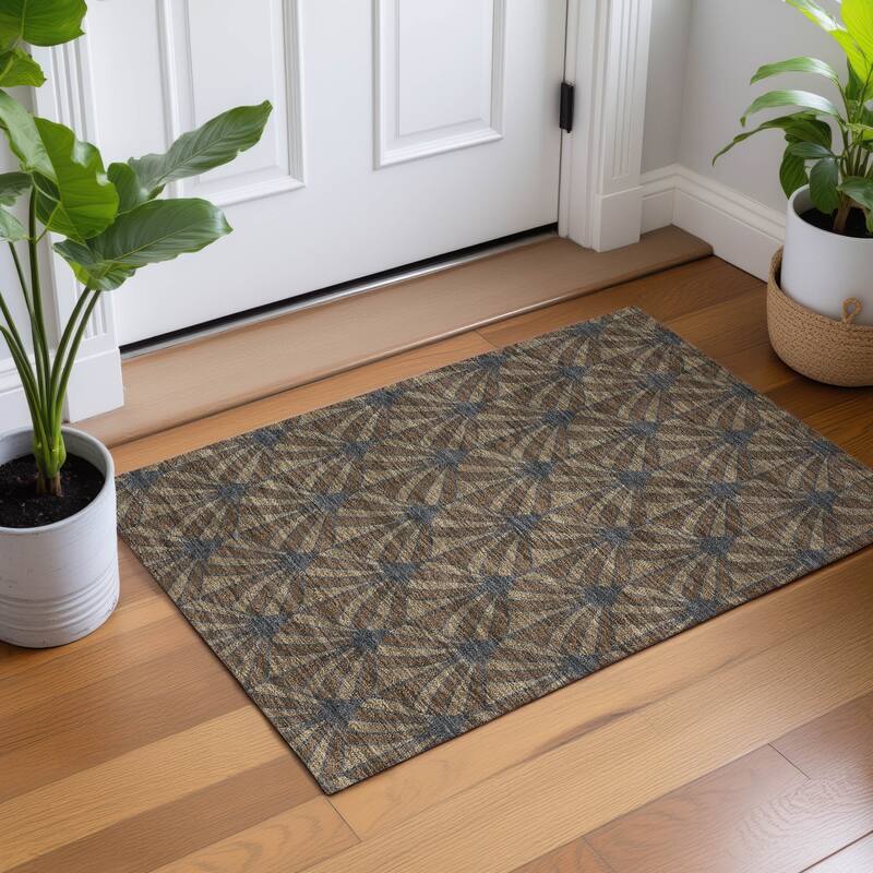 Machine Washable Indoor/ Outdoor Casual Kim Chantille Rug