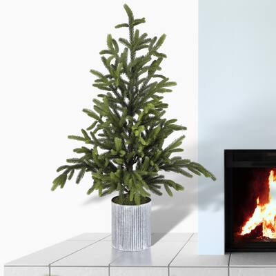48" Potted Norway Spruce Tree