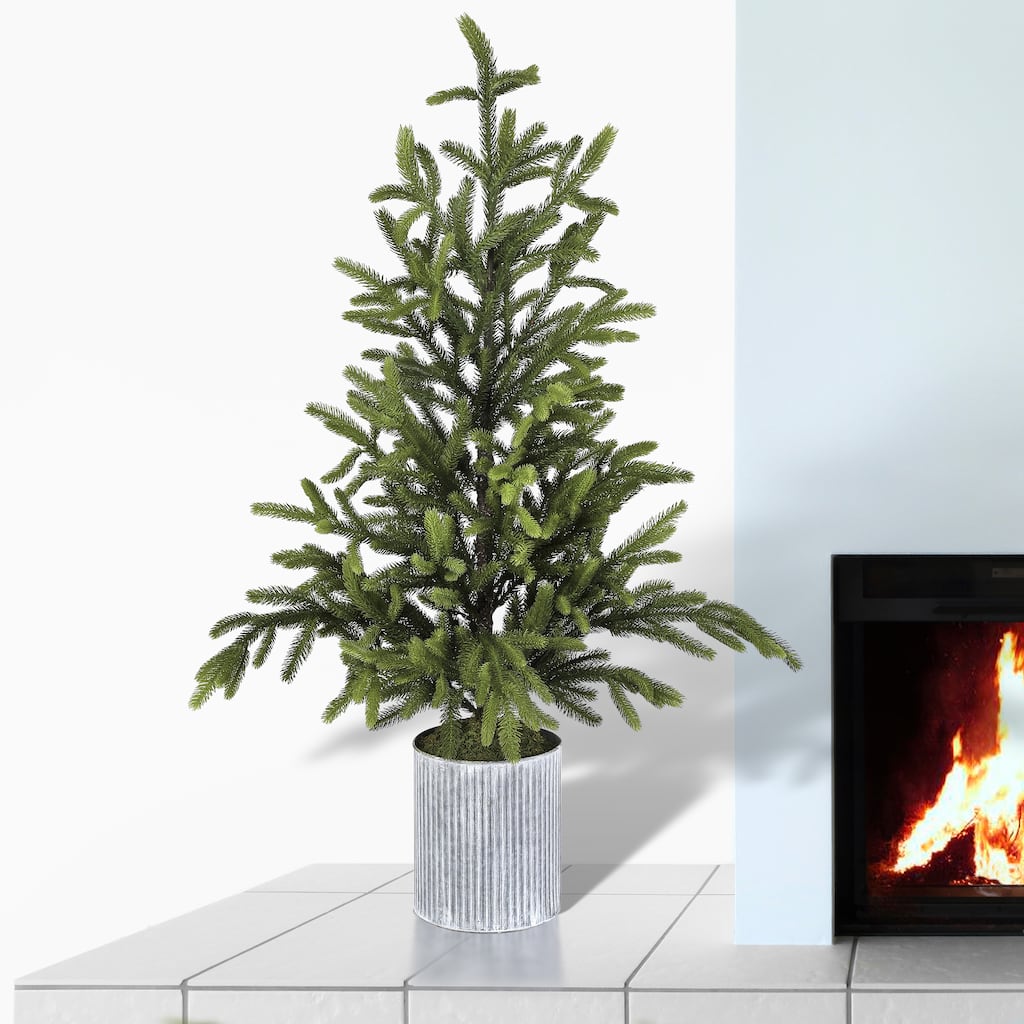 48" Potted Norway Spruce Tree