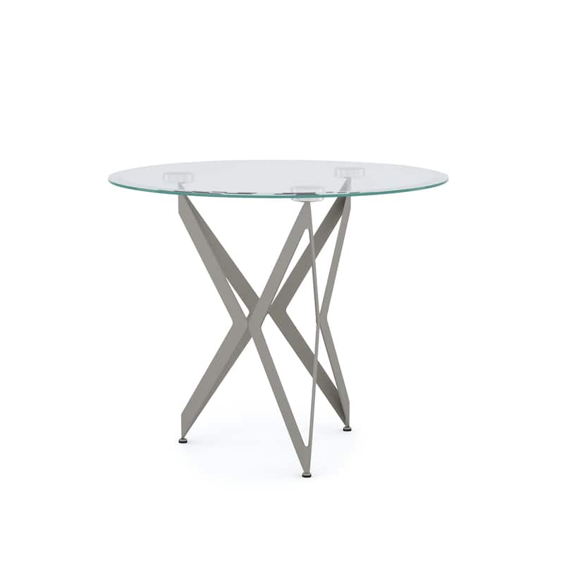 Alma Modern 24-inch Metal Round Glass Top Side Table by Furniture of America