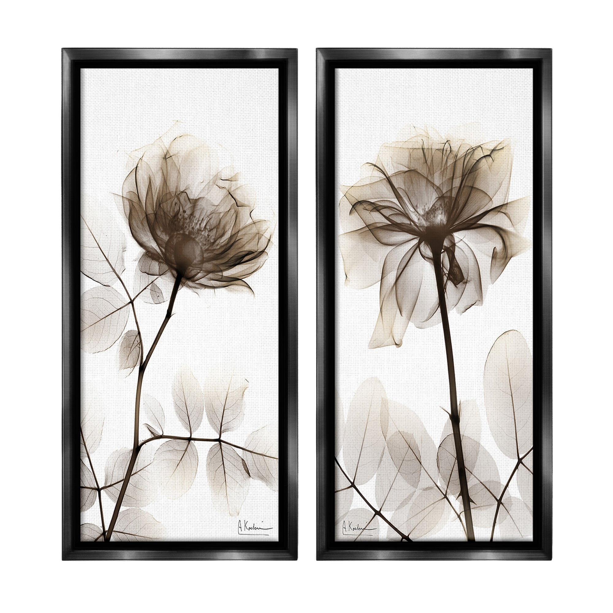 Stupell Natural Modern Blooms Framed Floater Canvas Wall Art Design By Albert Koetsier (Set of 2)