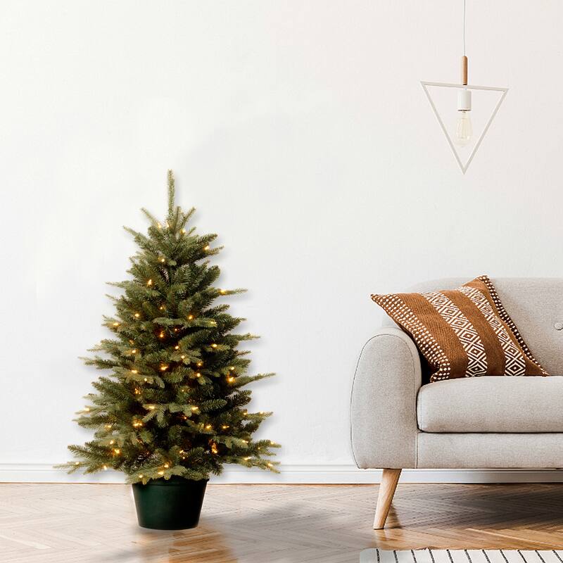 National Tree Company 3 ft. Everyday Collection Evergreen Tree with Clear Lights - 3 Foot - 3 Foot