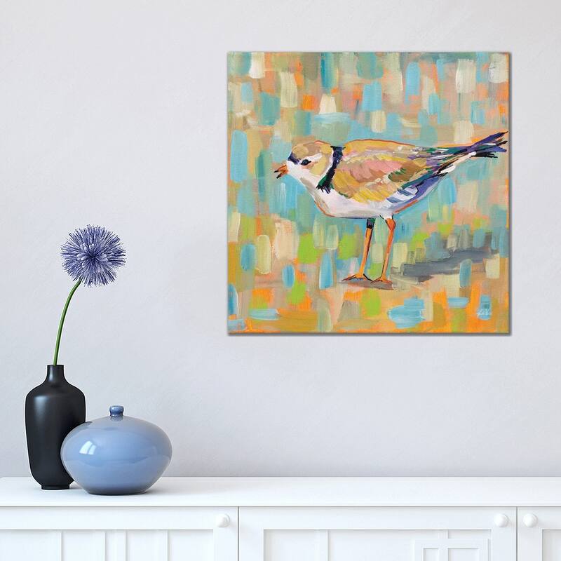 iCanvas "Coastal Plover IV" by Jeanette Vertentes Canvas Print - 18x18x1.5