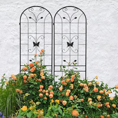 2 Pack Metal Black Garden Trellis for Outdoor