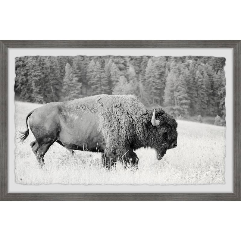 Buffalo Grazing Framed Wall Art, Elegant Home Touch - Sophisticated Artwork for Refined Décor