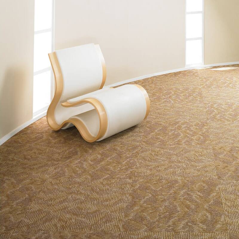 Shaw Philadelphia Commercial Ripple Effect 24" x 24" Glue Down Carpet