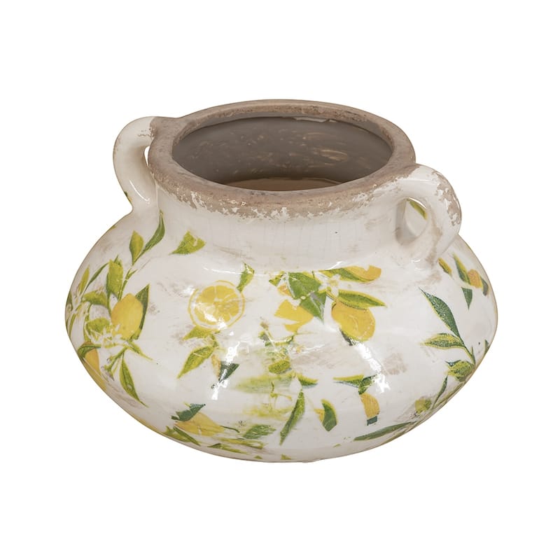 Indoor Round Ceramic Lemon Planter Pot for Succulents, Trailing Plants