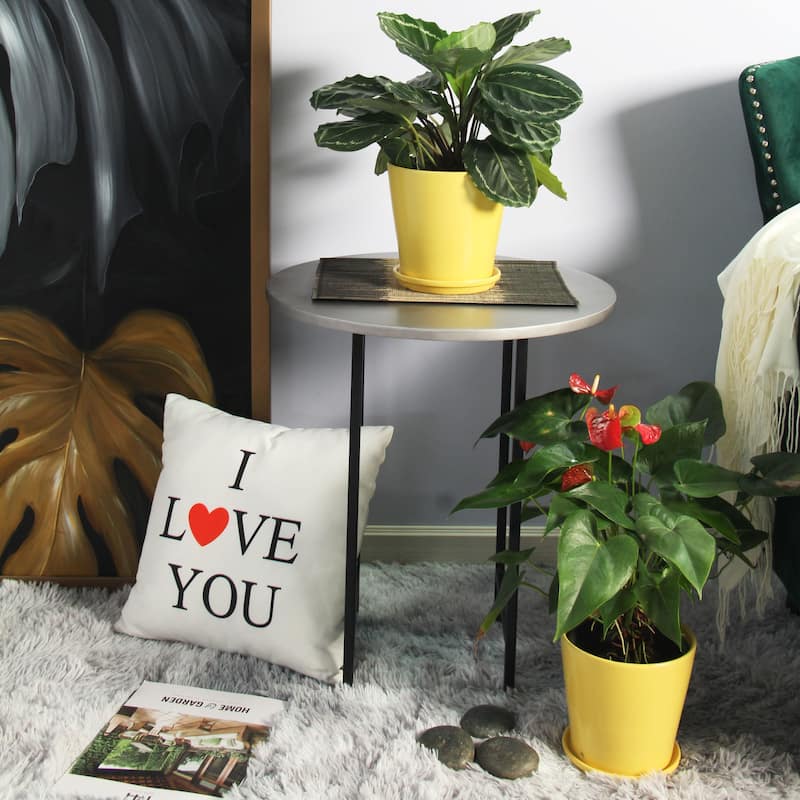 Pansy Ceramic Planter Set with Dish 2-pack