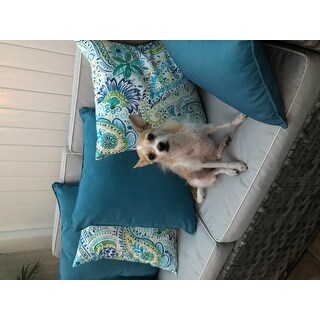 Coronado Outdoor Pillow (Set of 4) by Christopher Knight Home