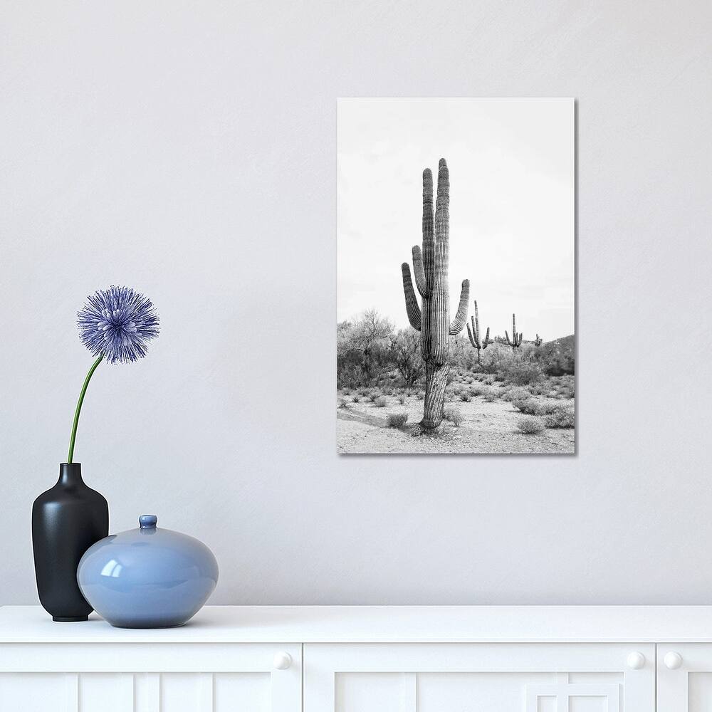 iCanvas "Desert Cactus In Black & White" by Sisi & Seb Canvas Print