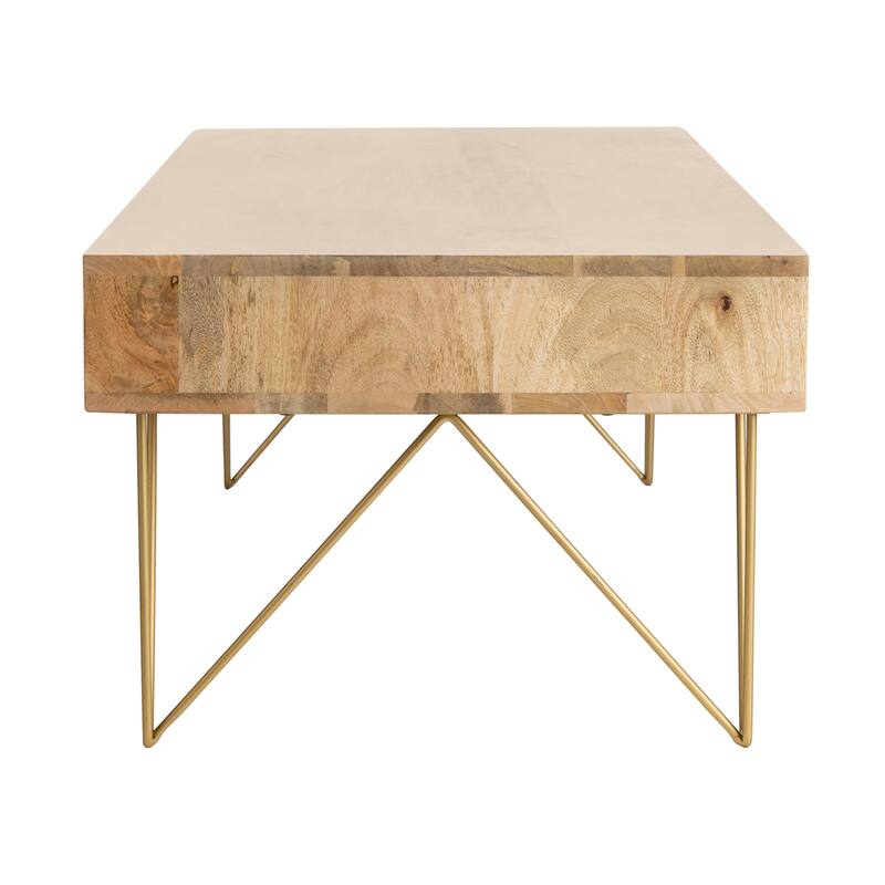 SAFAVIEH Nilgun 1-Drawer 1-Shelf Living Room Coffee Table - 43" W x 21.6" L x 16" H - 43Wx22Dx16H