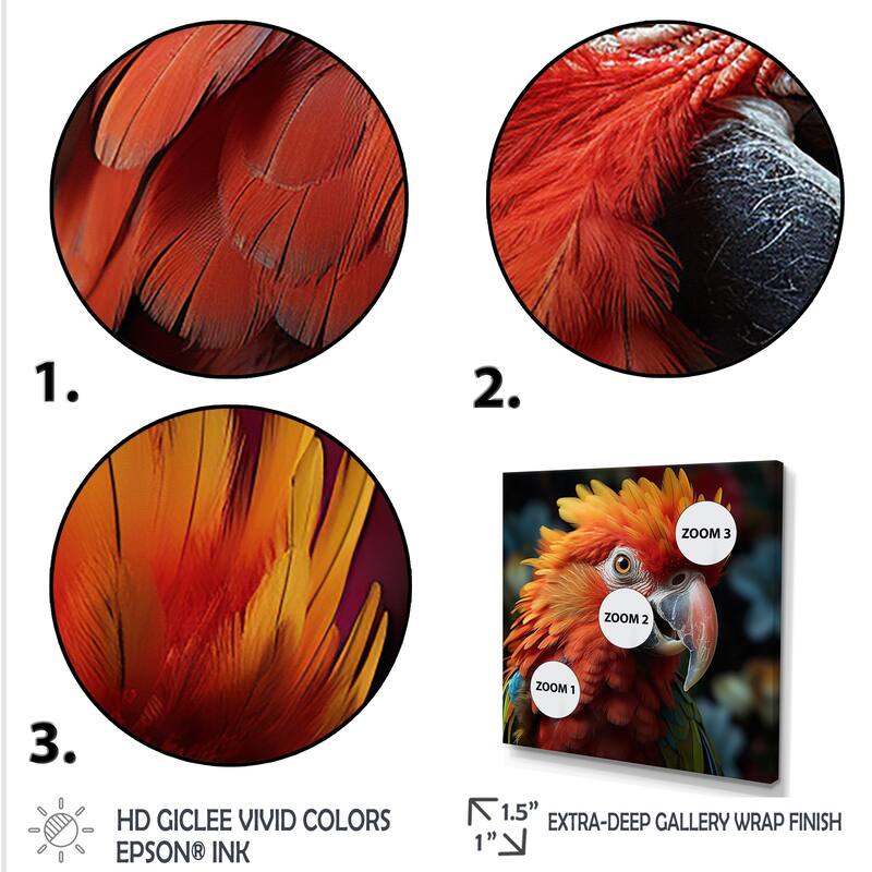 Designart "Orange Parrot Portrait Photo" Parrot Orange Wall Decor - Modern Bedroom Framed Canvas Wall Art