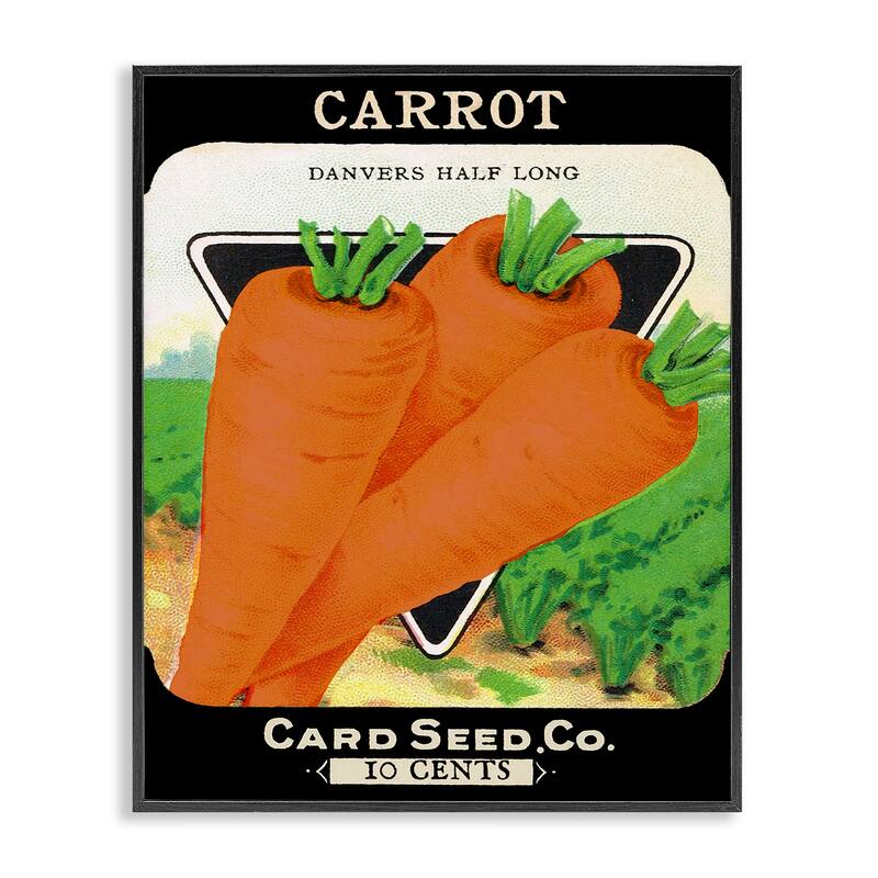Stupell Vintage Garden Carrots Framed Giclee Art Design By Lil' Rue - 16 x 20 - Black
