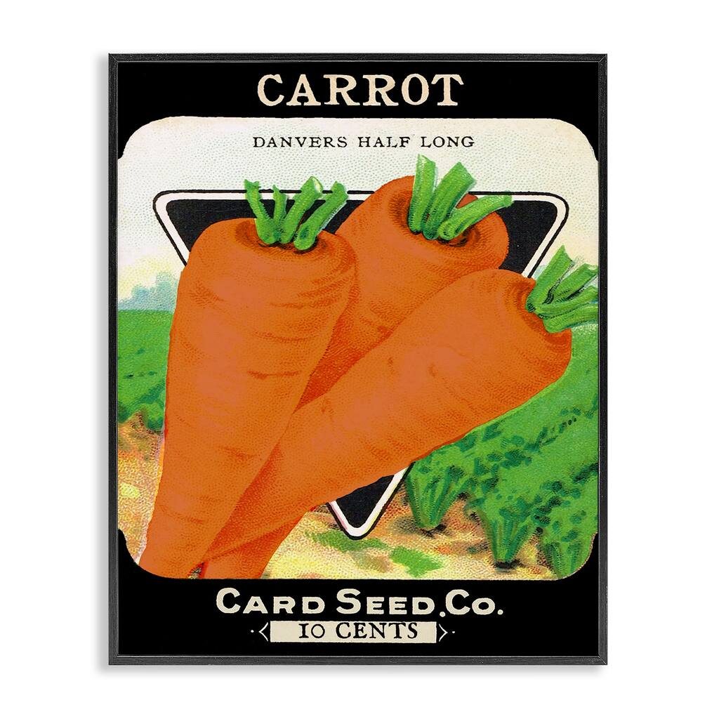 Stupell Vintage Garden Carrots Framed Giclee Art Design By Lil' Rue