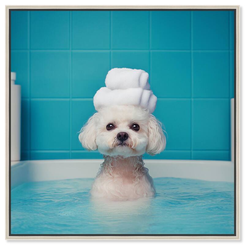 Fluff in the Tub Canvas by Art Remedy - 20" x 20" - Silver
